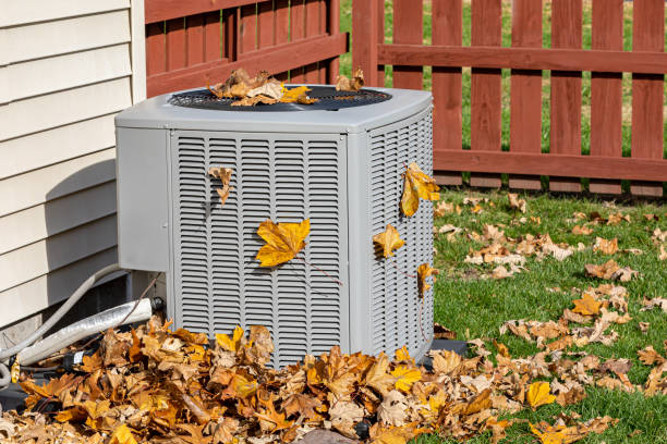 Best Local HVAC Companies  in Baudette, MN